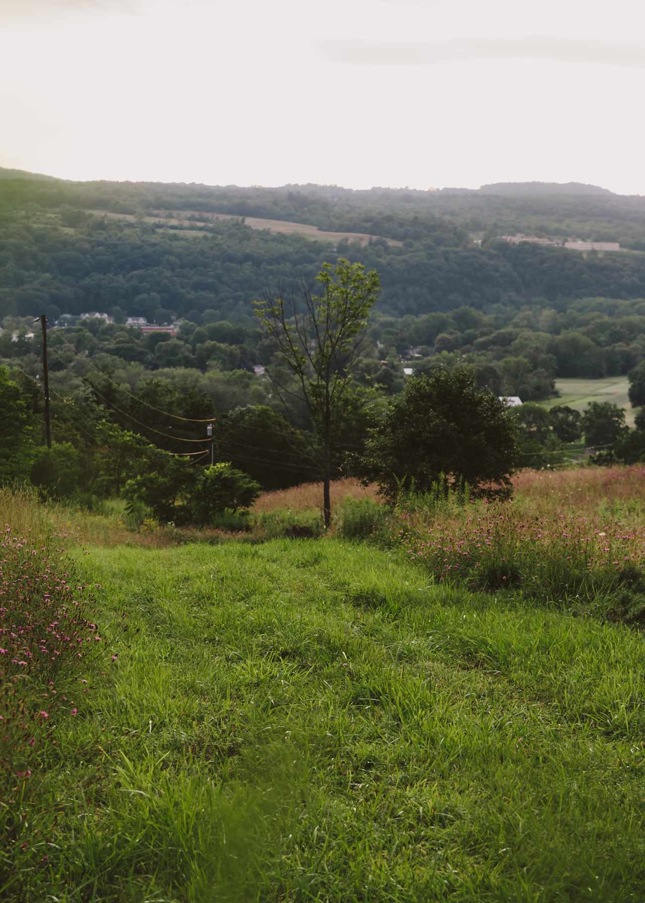 Drive way up to the main campsite area