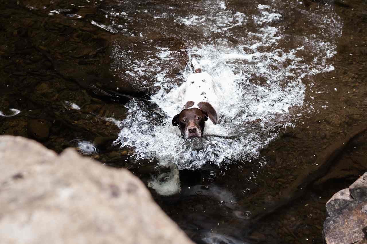 Lucia Falls is right around the corner! Perfect for a little hike. 