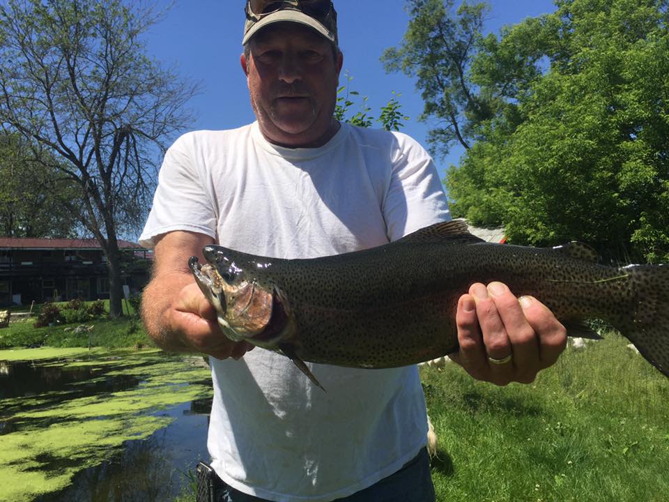 Trout are big here at Gathering Gardens 