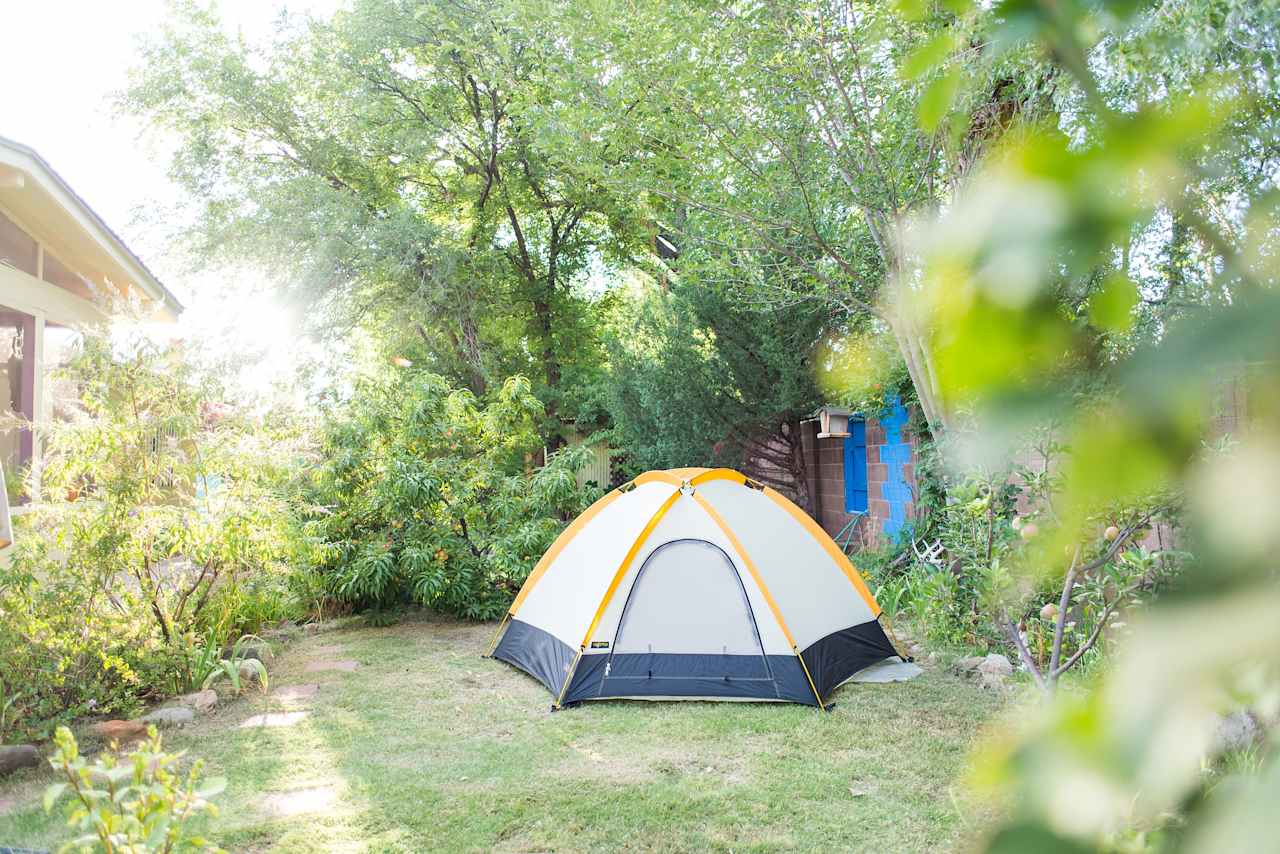 Plenty of room in the grass for our tent!