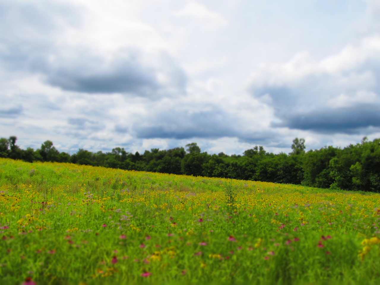 Open sky and fresh air...