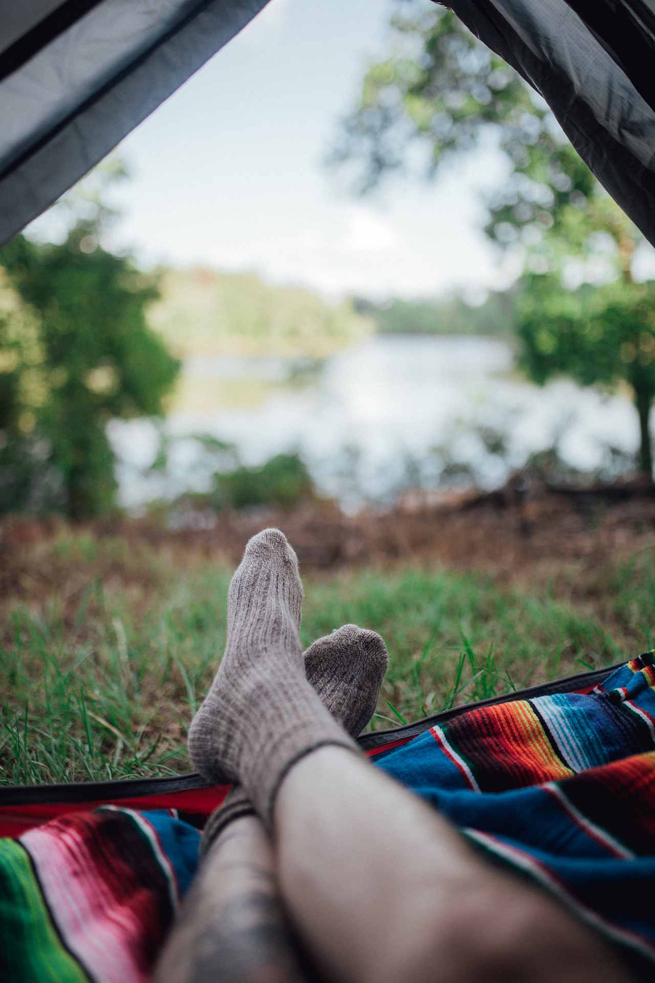 Enjoying the summer evening