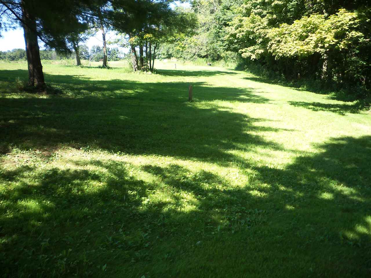 Campsites 29-30 are mostly shaded by the pines. Deer & turkey travel thru here. Located at the back corner near the woods & 34 acres of hiking trails.