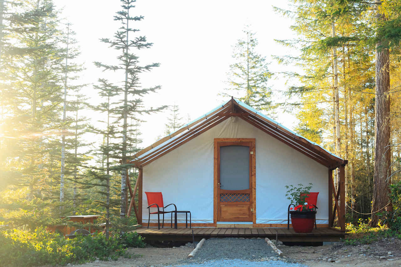 Morning light over Cabin 1