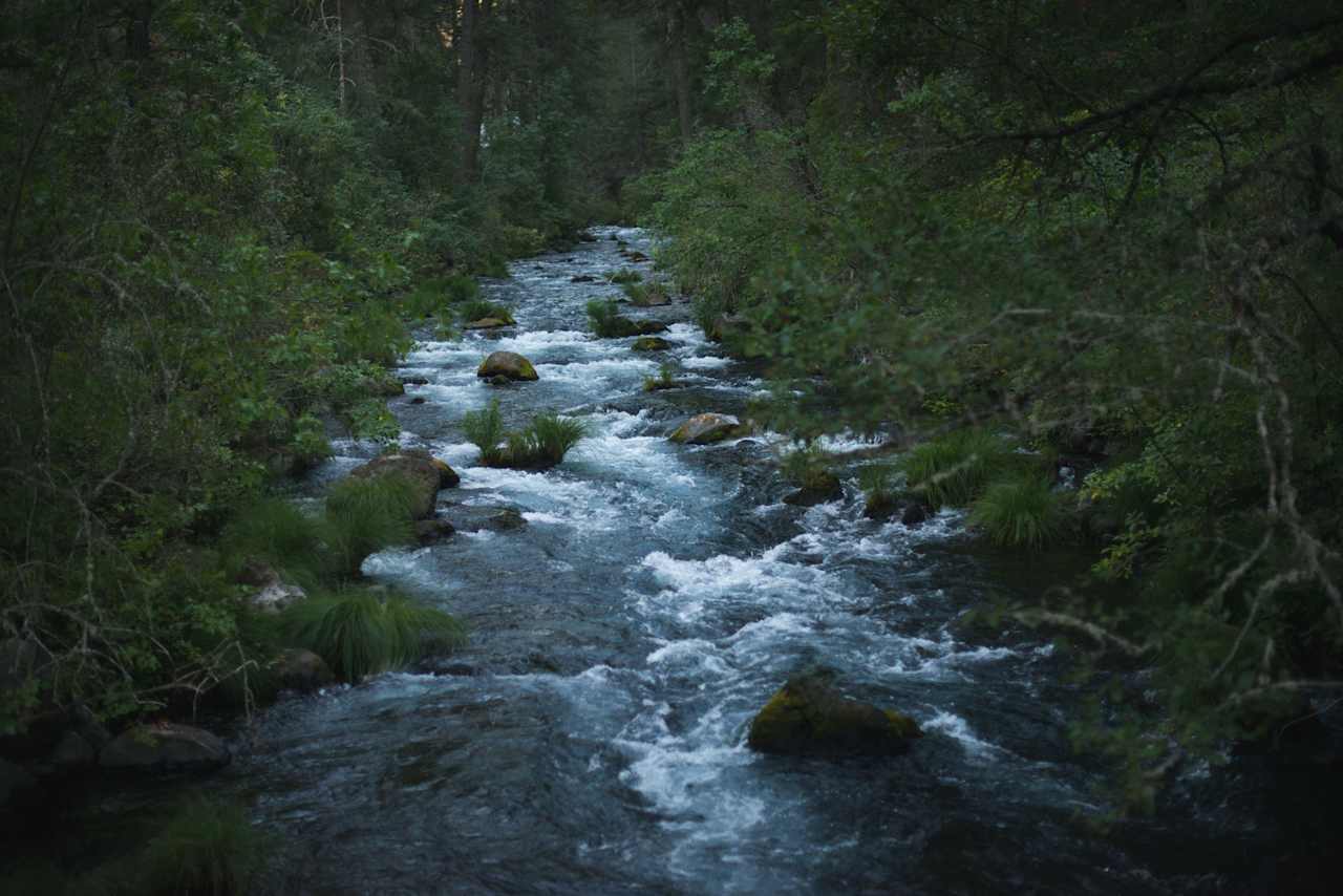 Down the Falls Loop Trail you will cross a bridge over the river.