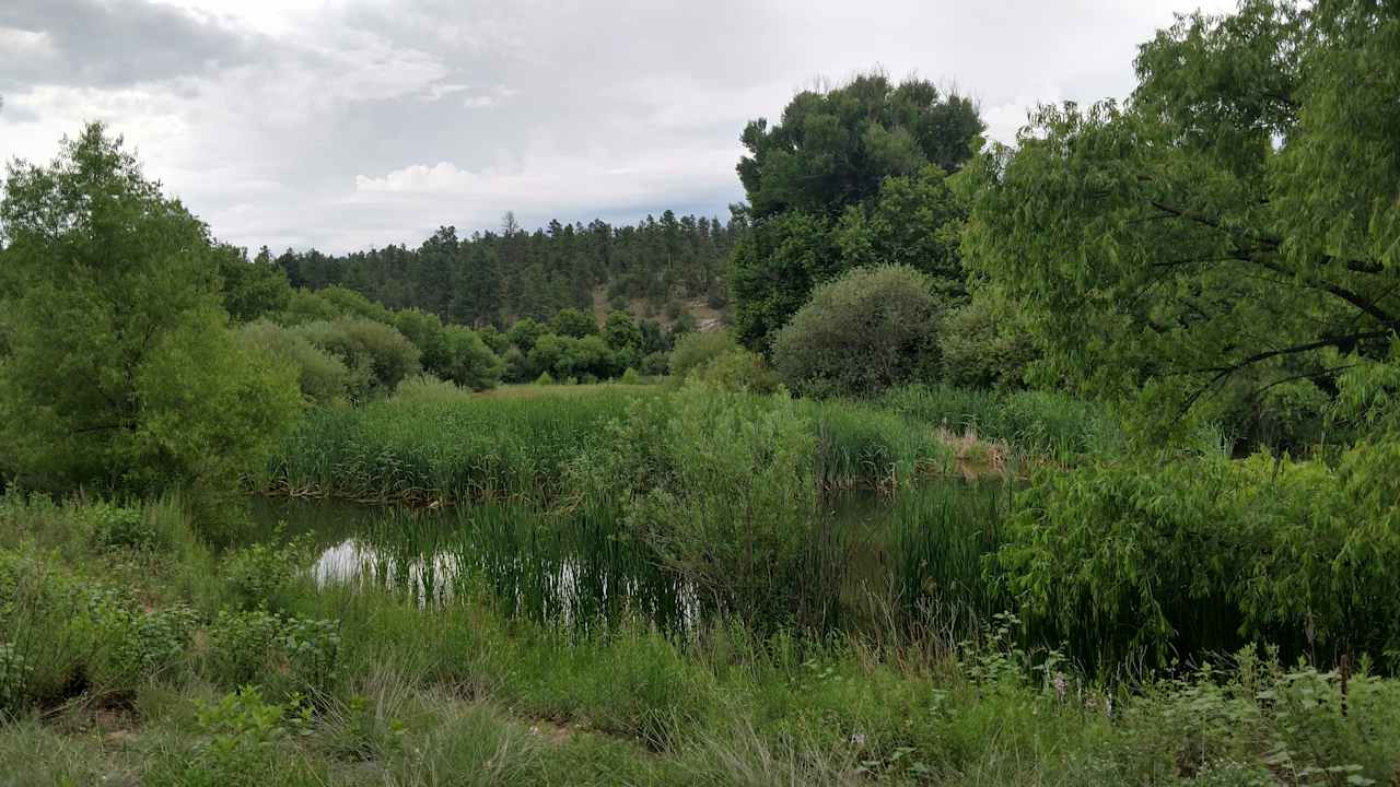 Lake Roberts at the picnic area near the Campground.