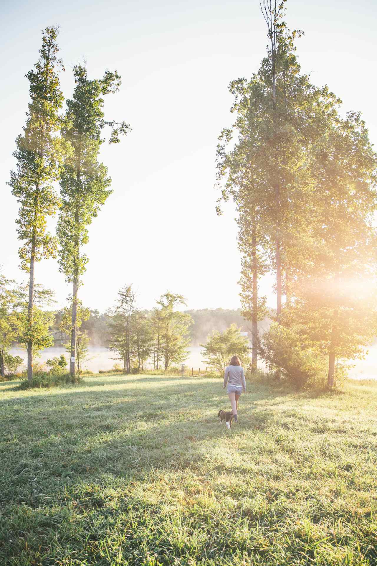 Morning walk to the lake below the orchards