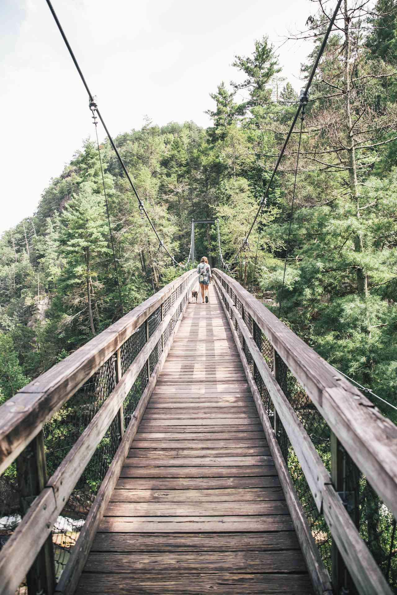 Suspension bridge and gorge hike just minutes away!