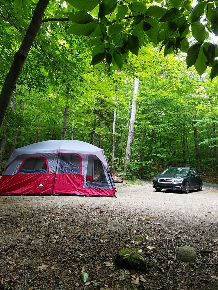 Sawyer Pond Shelter & Tentsite