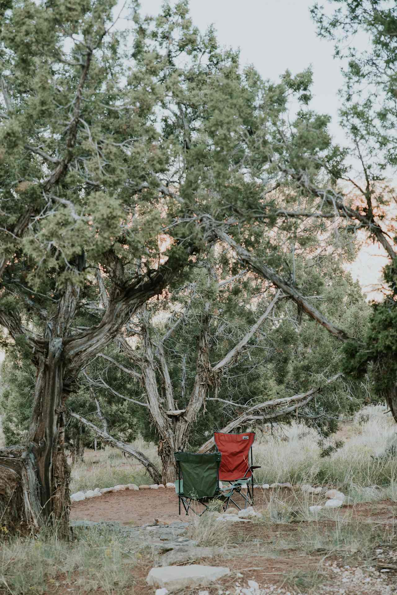 The other tent sites are neatly nestled among small trees for more shade.