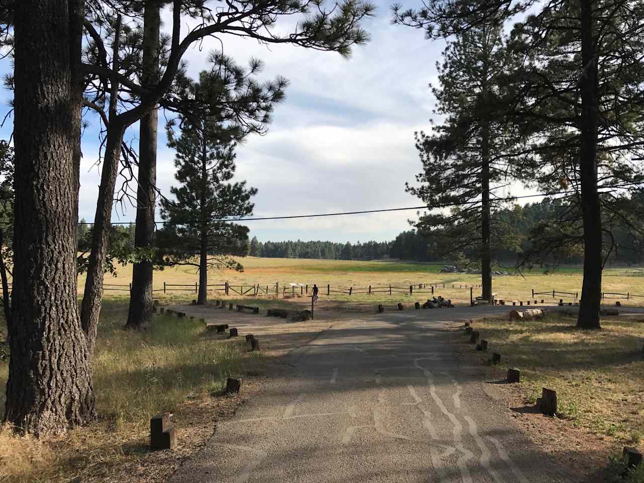 Wilderness awaits in Laguna Meadow