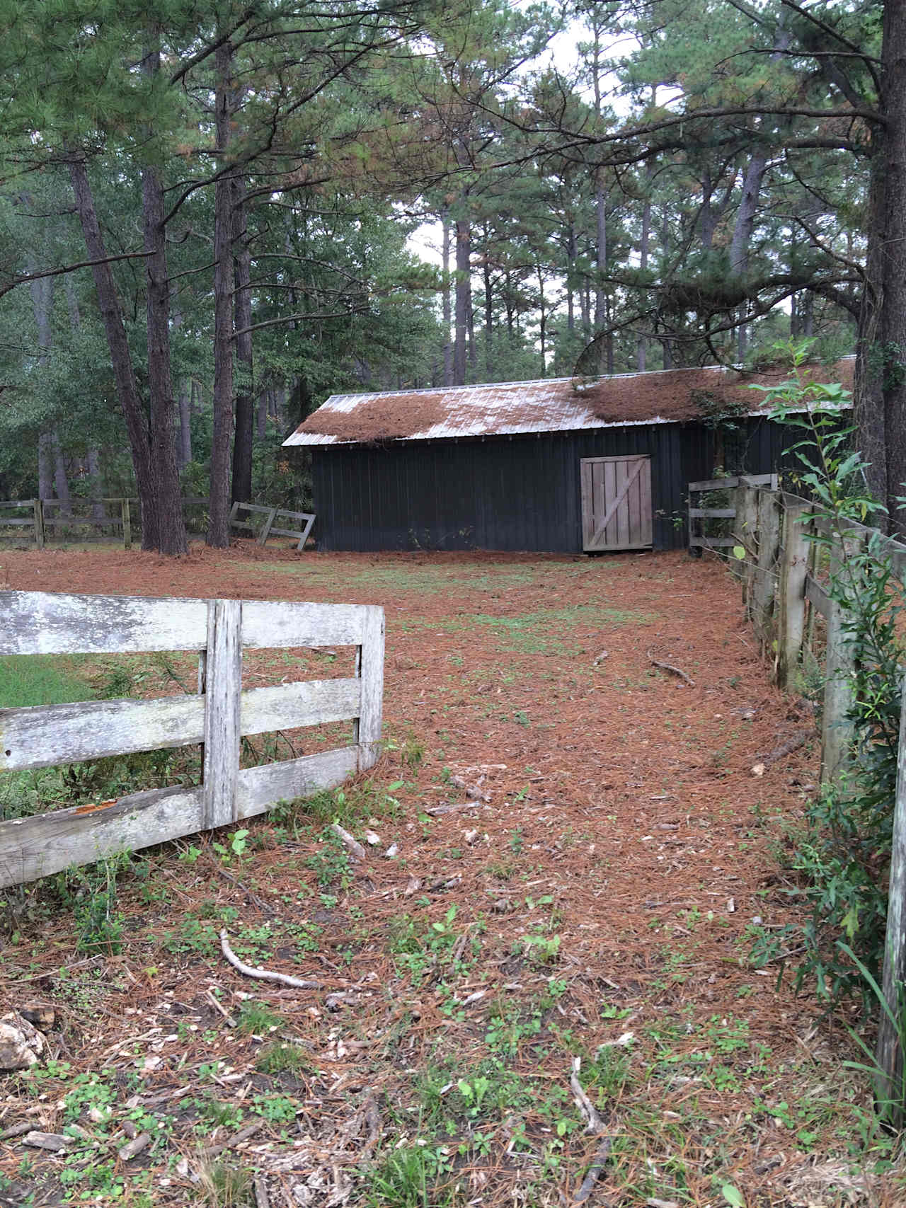 Rock Hill Campsite