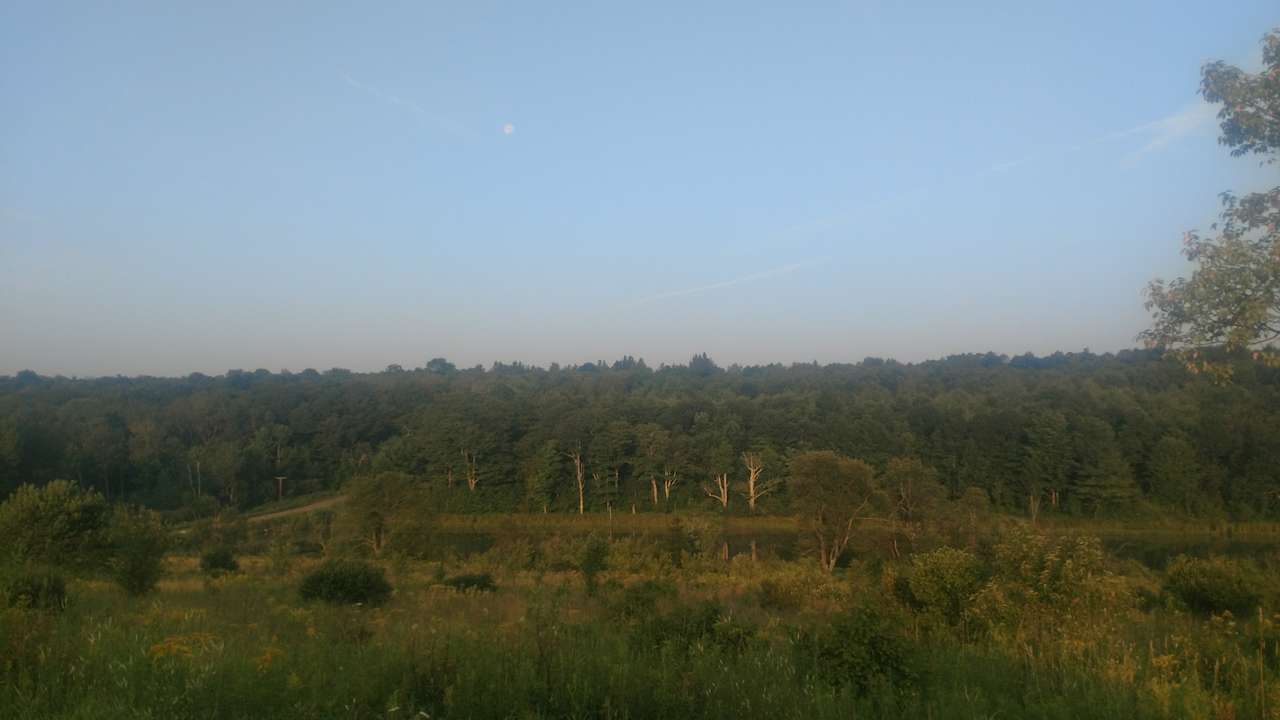 View of Chapin Pond from Horse back