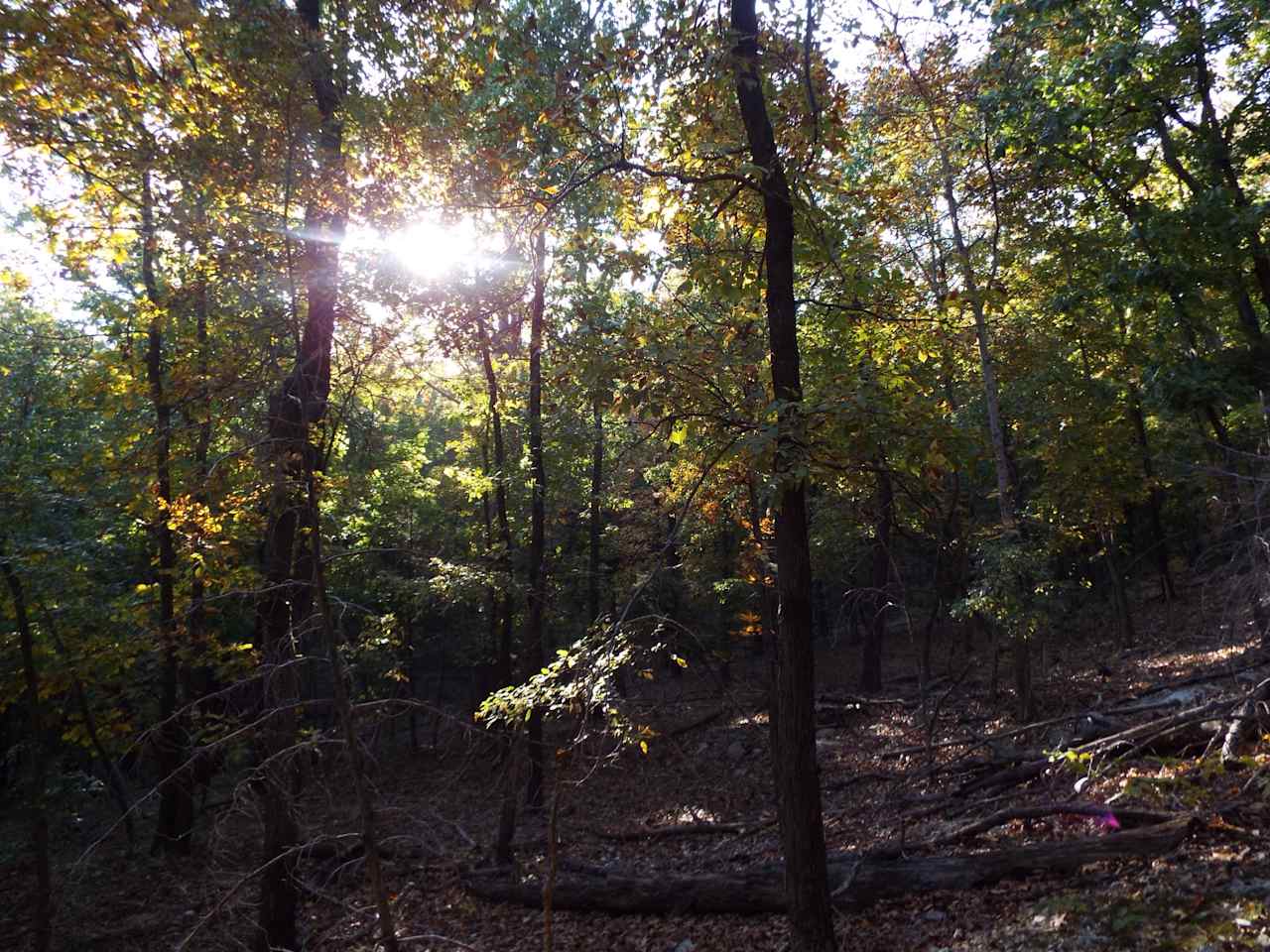 Rocky Branch Campground