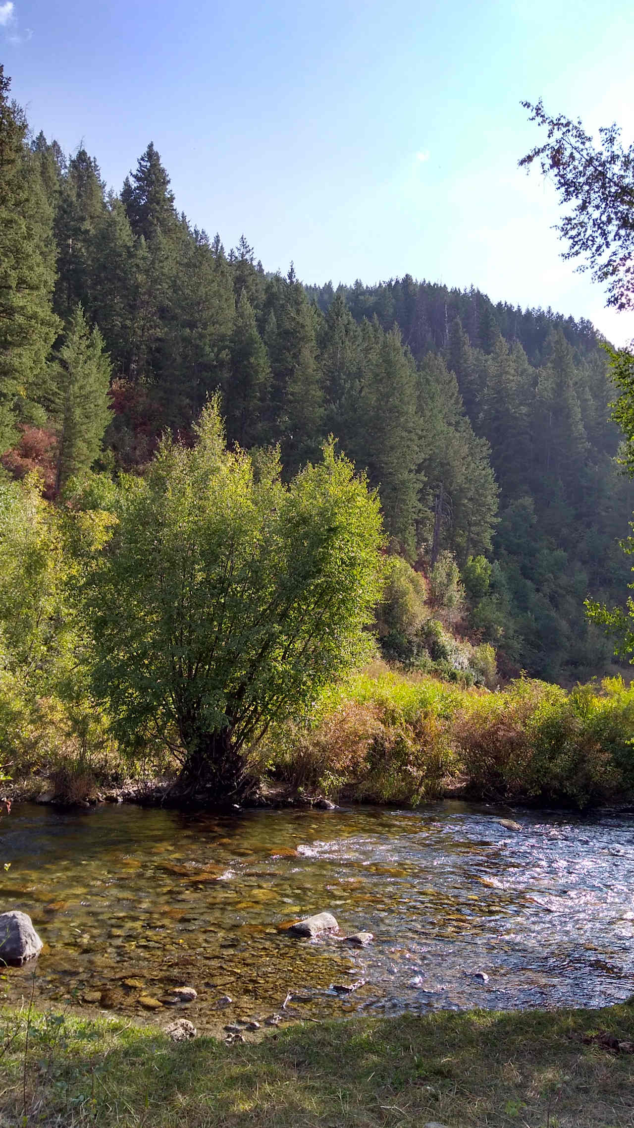 Albert Moser Campground