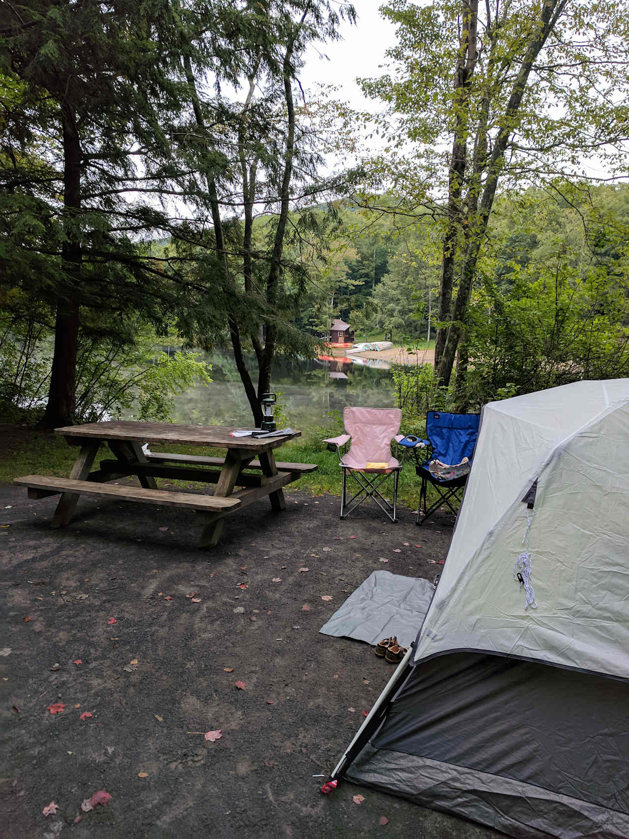 This is site 26, on the water - it was great! and kids loved the tadpoles, fish, and chipmunks. 