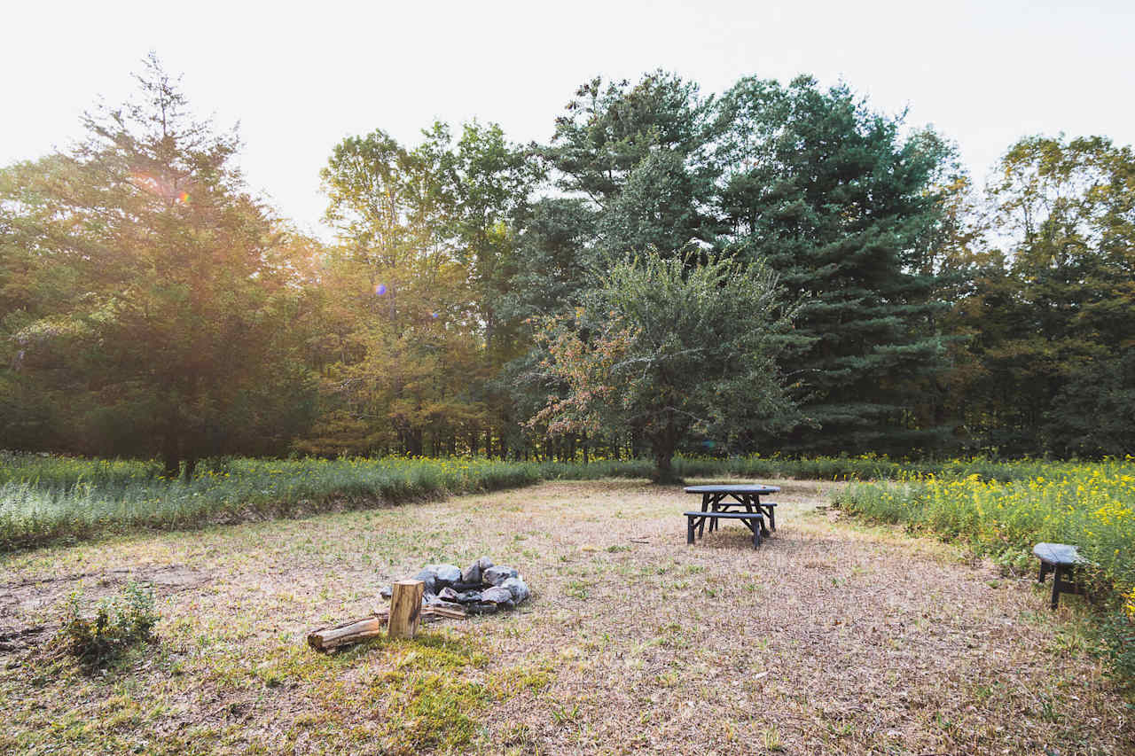 Although we stayed in the Pool House Glampsite, Rich also offers tent camping on his 40 acre property.