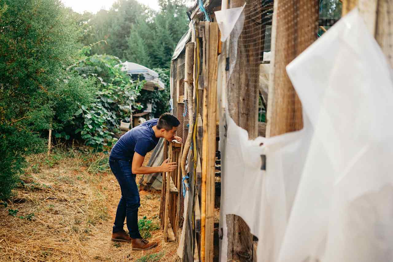 Checking out the makeshift greenhouse 