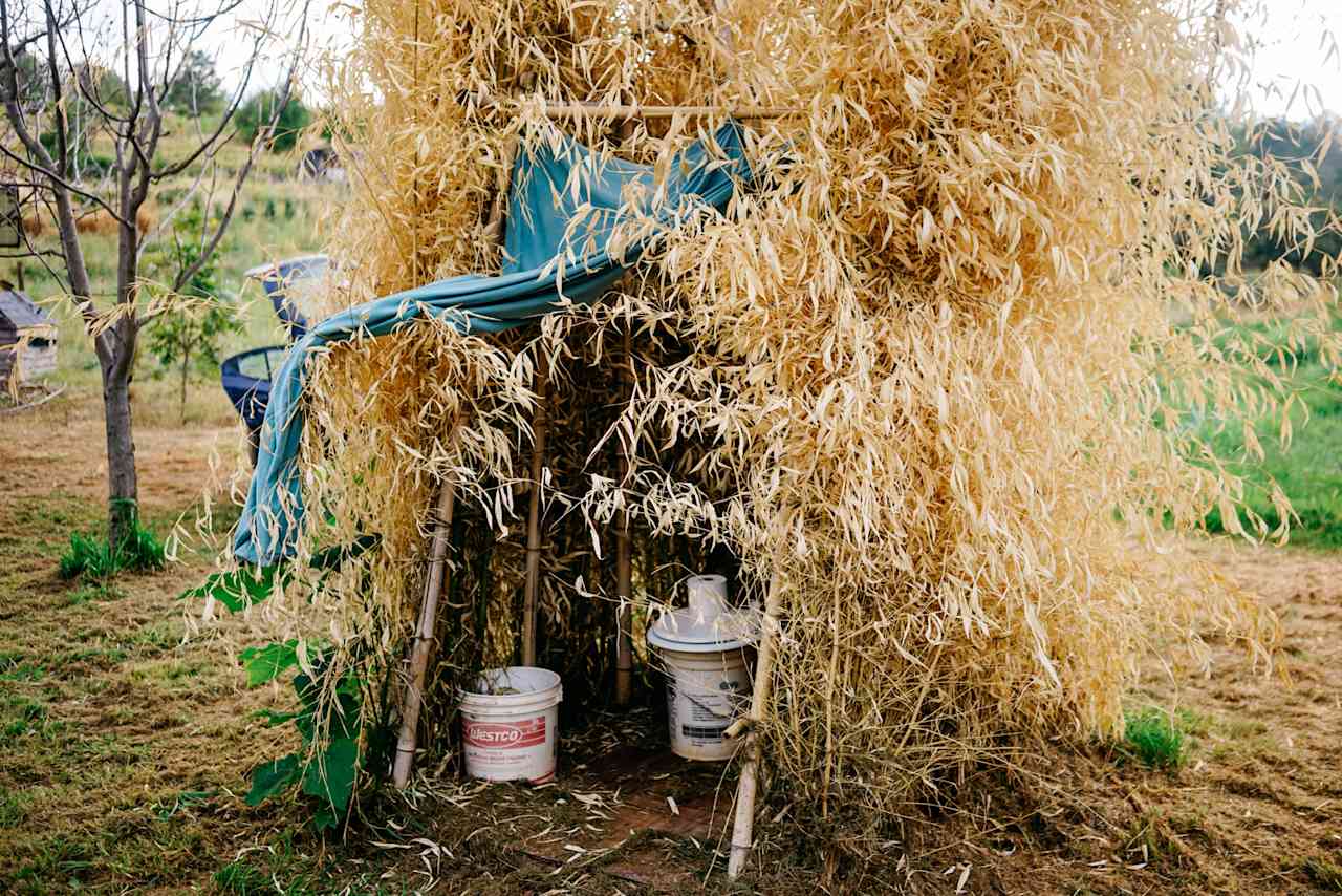 Shared Abundance Organic Farm