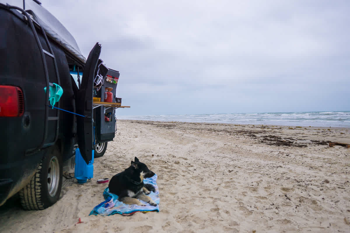 Beach life right next to the water!