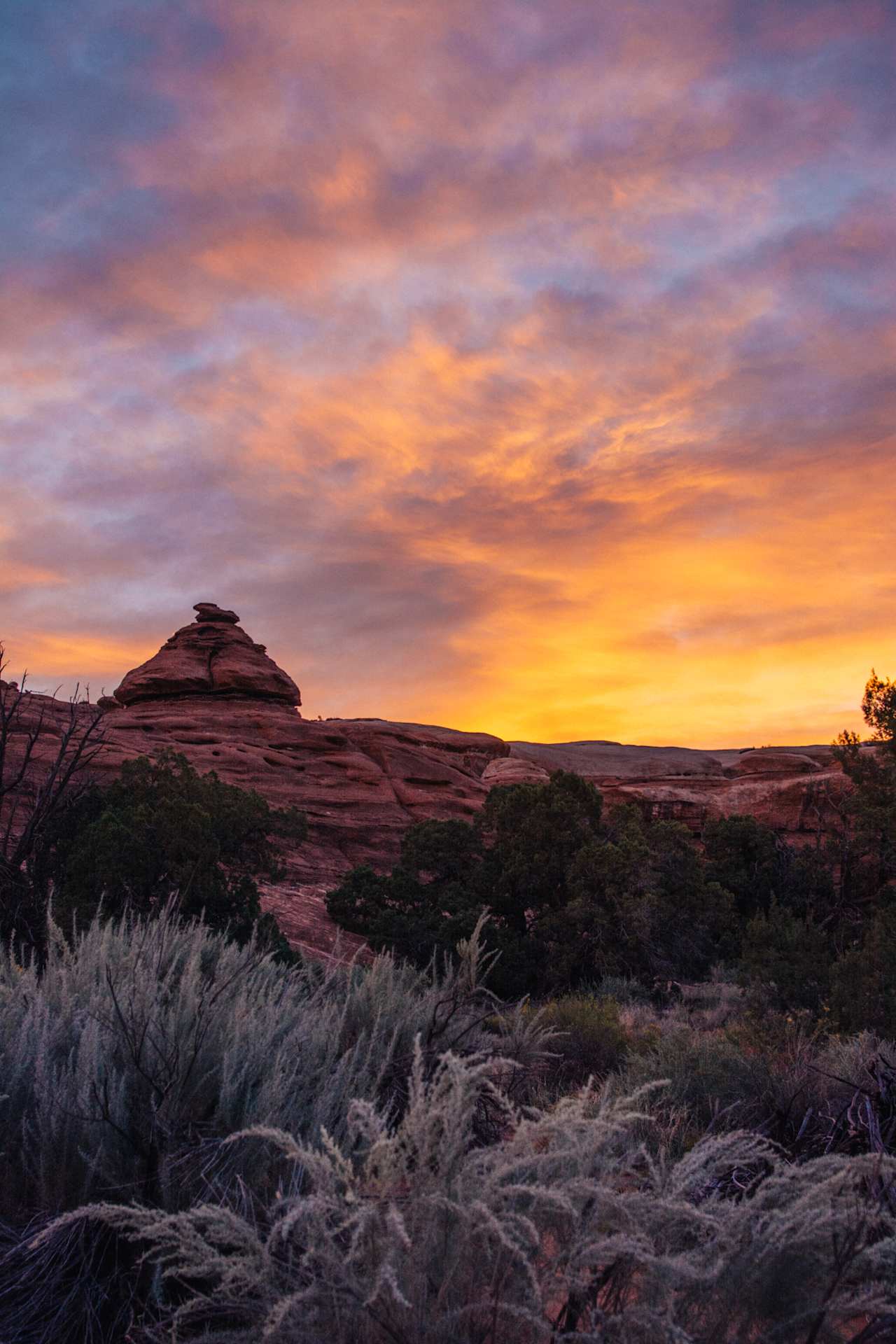 You'll be cozy in your sleeping bag in the cool morning air, but ignore the urge to stay in the Tentsile! If you're an early bird like us, you'll be rewarded with an incredible desert sunrise. 