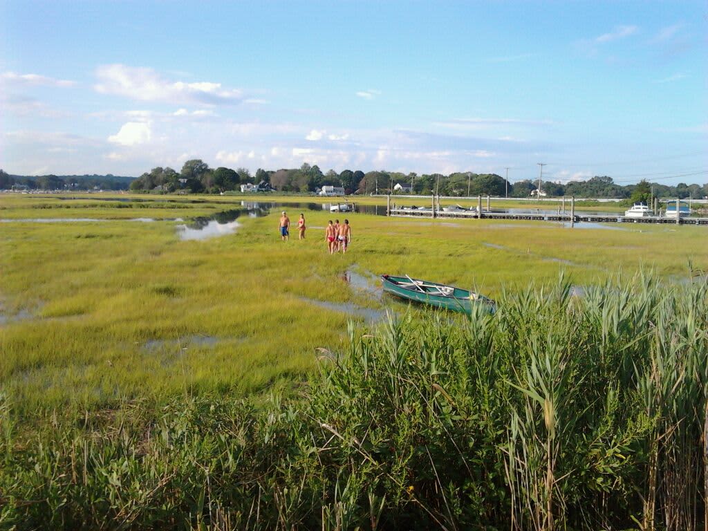 Salt marsh backyard