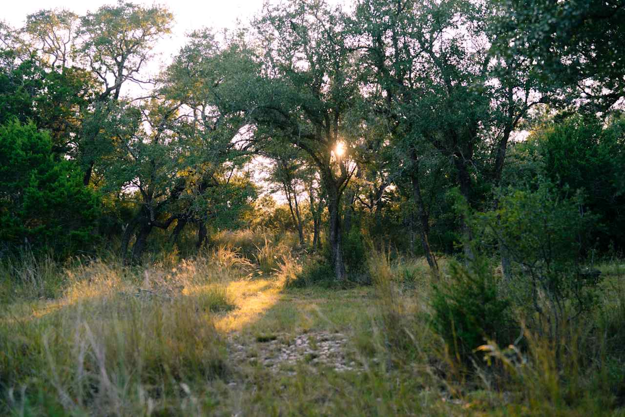 Camping near Hamilton Pool