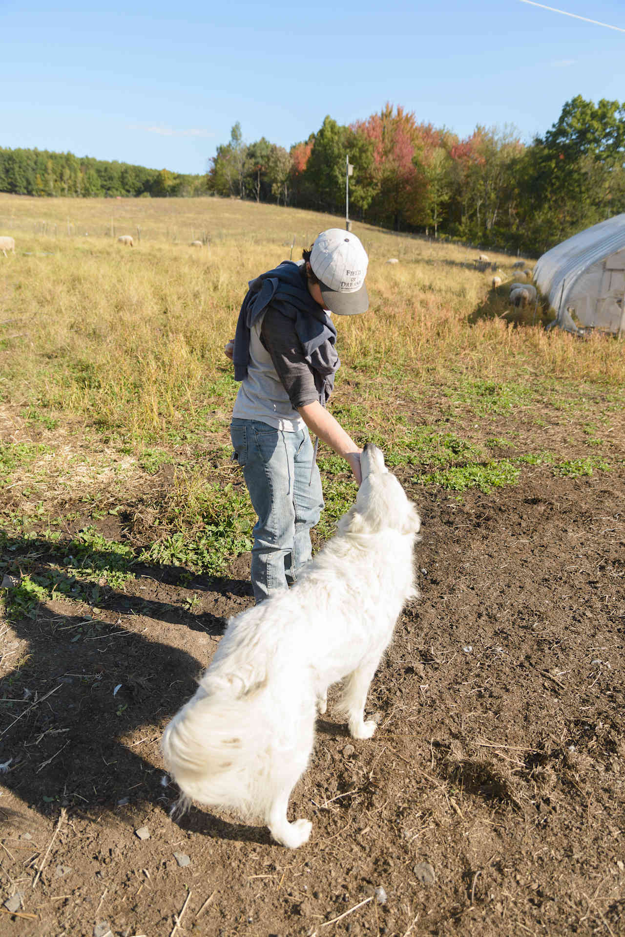 John greeting the pup