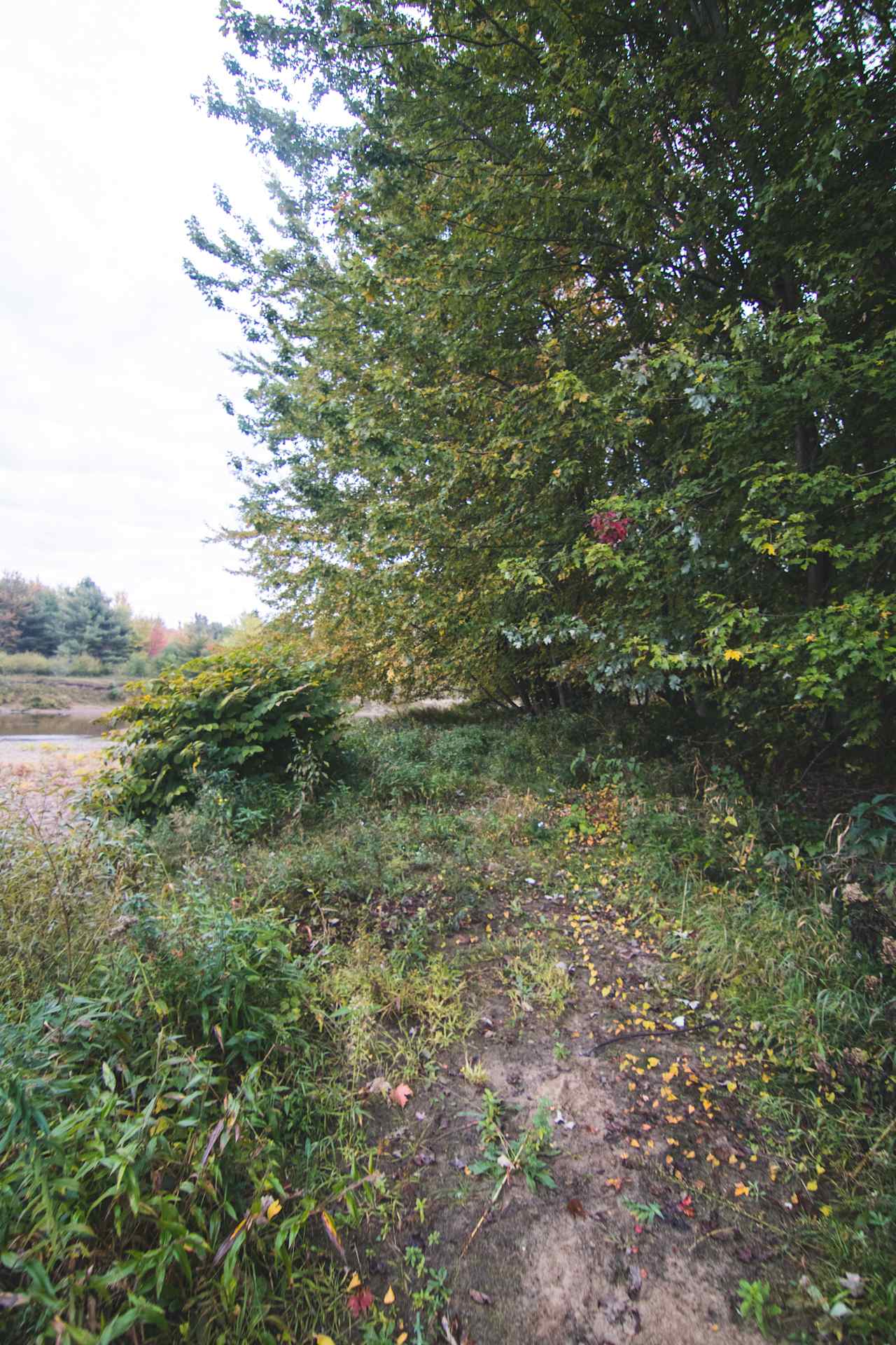 Adirondack Acres Trail & Camps