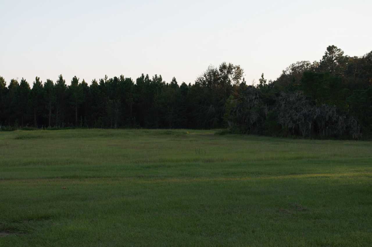 Plenty of space to bring a few friends and enjoy Florida stars at night So clear. And if your real Lucky theirs a bald eagle that visits every fall. Owls and woodpeckers are always fun to spot