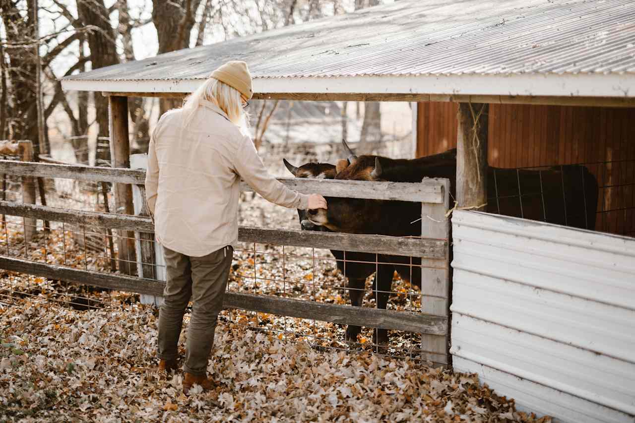 Pearsons Century Farm