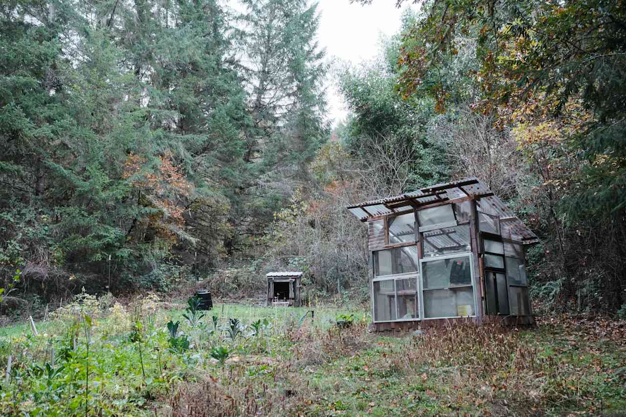 The garden and greenhouse. 