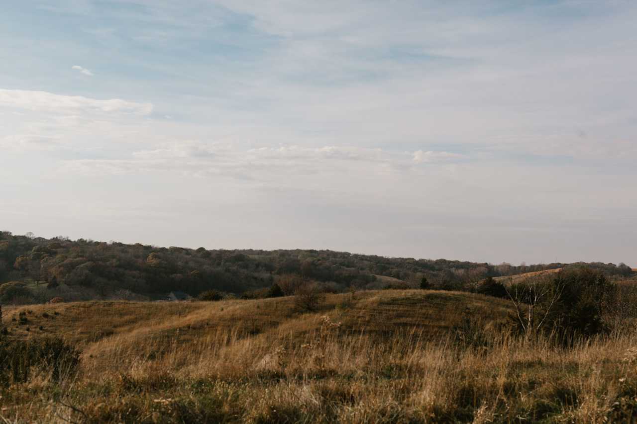 Horse Creek Adventures