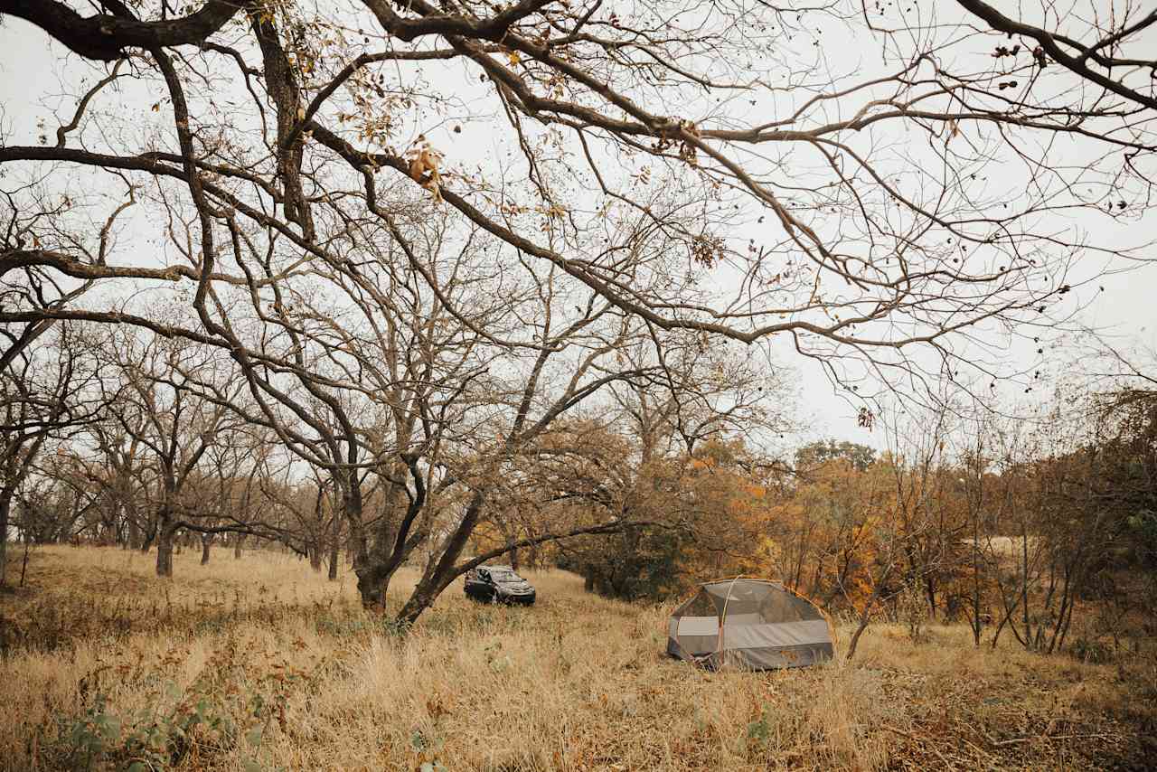 Low Gear Farmstead