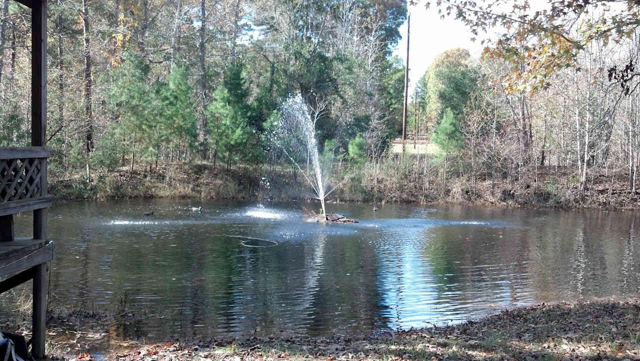 Large pond adjacent to Mallard Cabin-House, fountain, small fish for children to catch & release, covered deck.