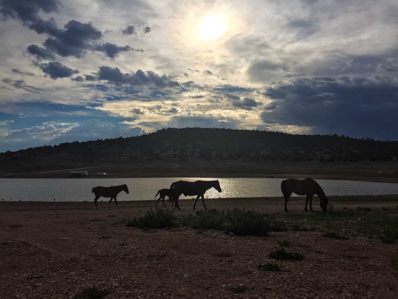 Lakeside Campground