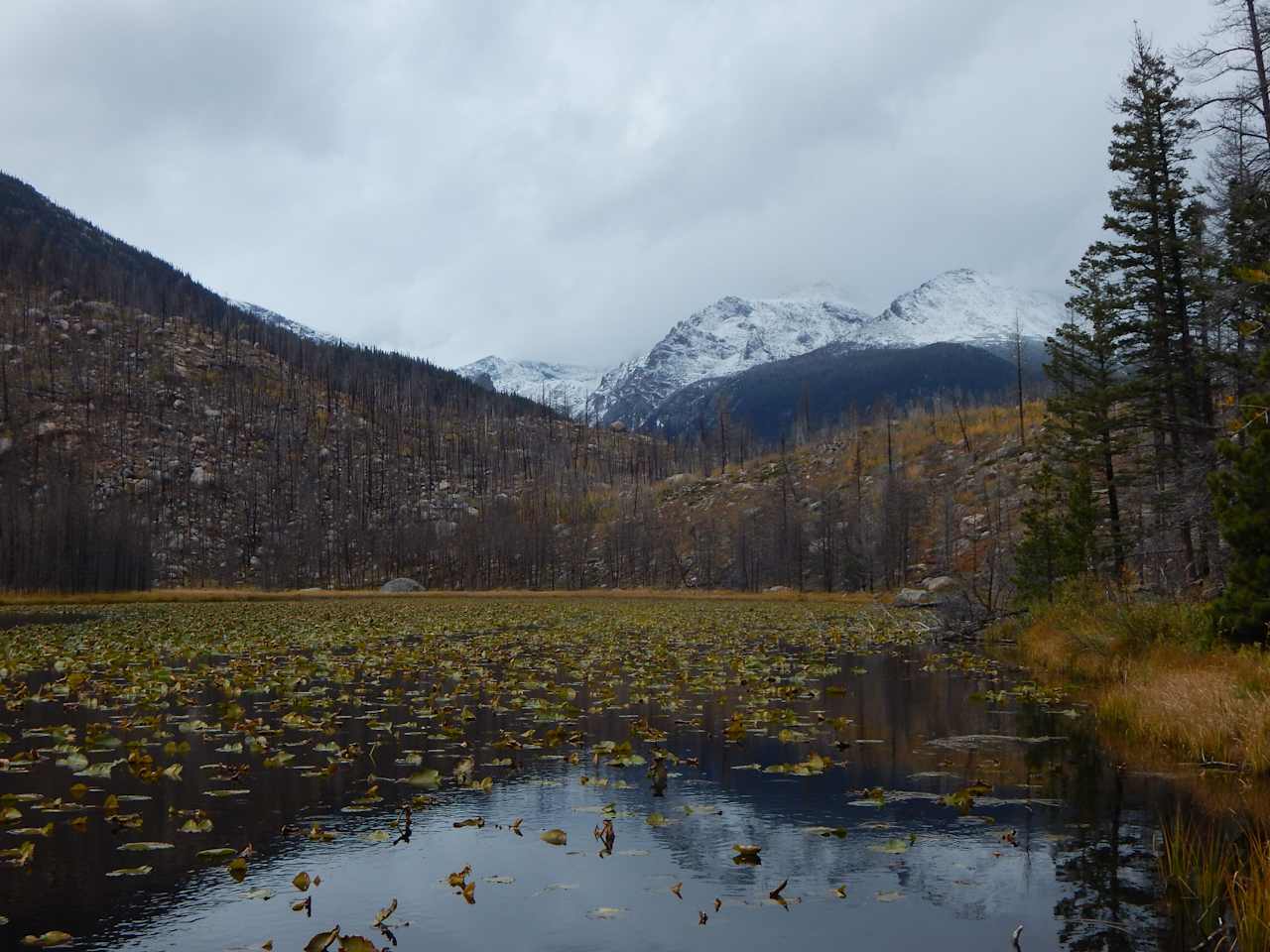 Glacier Basin Campground