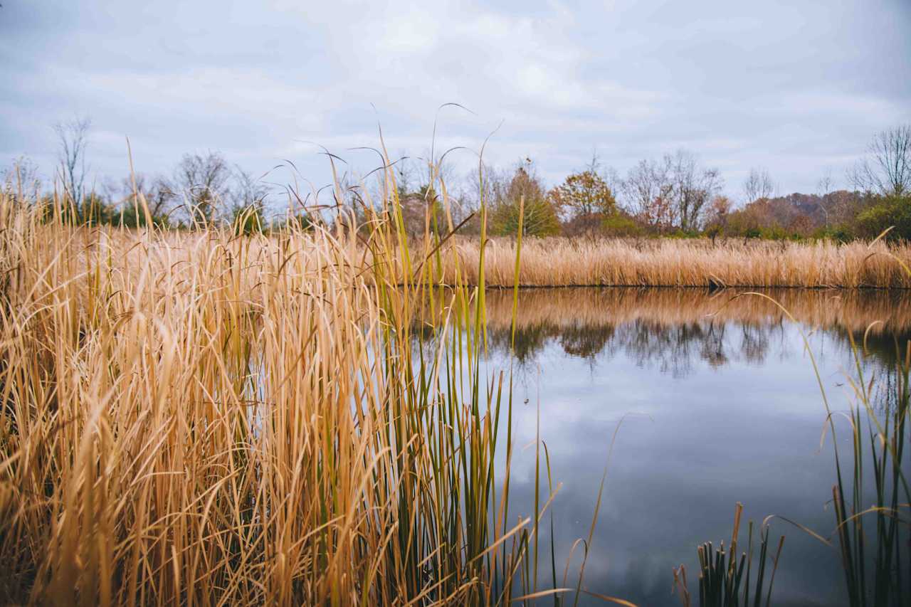 the view over the pond!