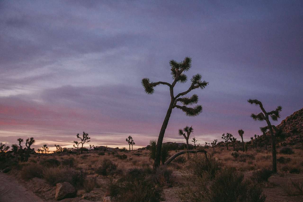 the campsite is only 10 minutes away from the park! I was easily able to roll out of bed and make it there for sunrise.