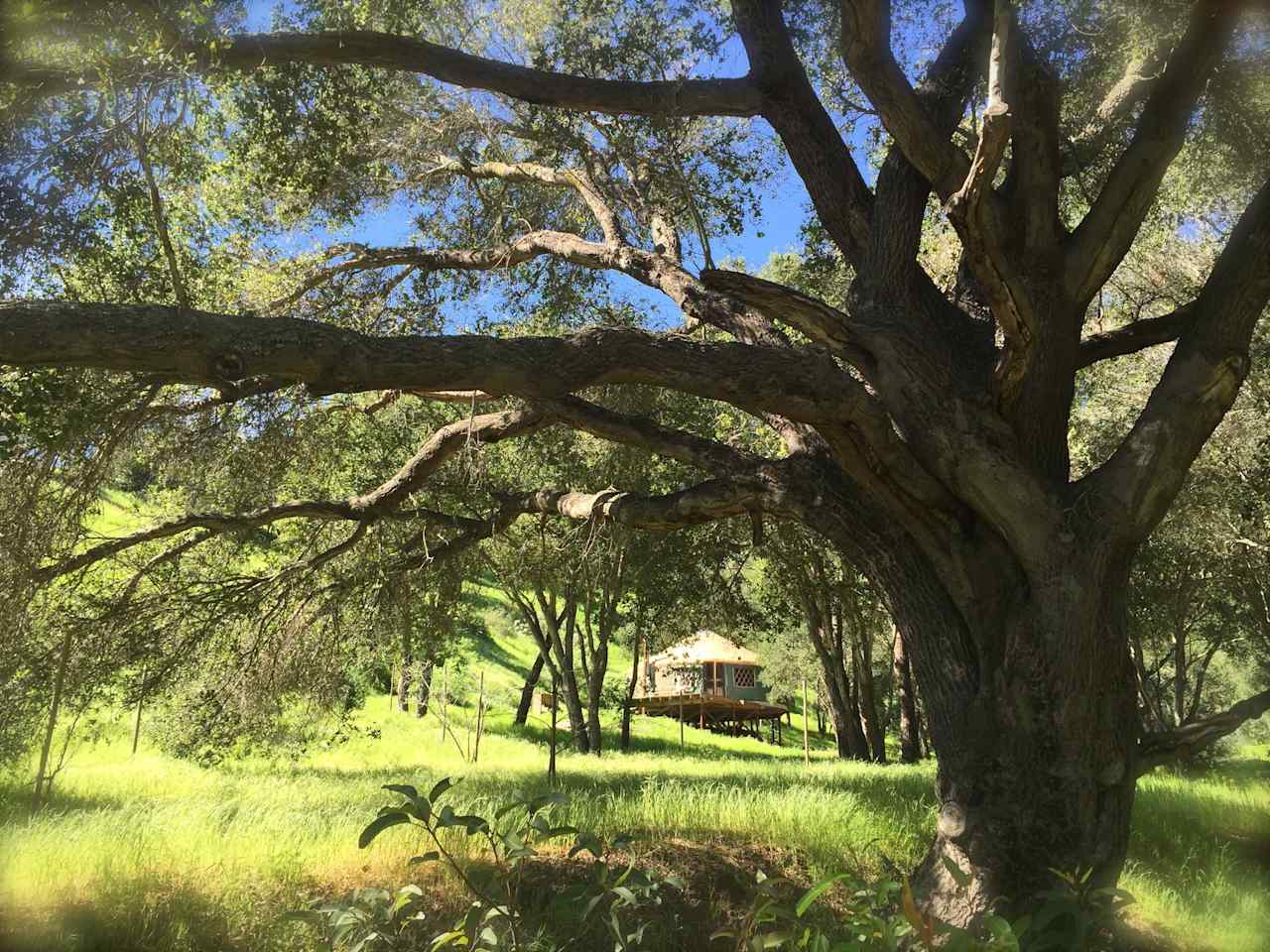 Glorious, private, nature retreat in Santa Barbara!