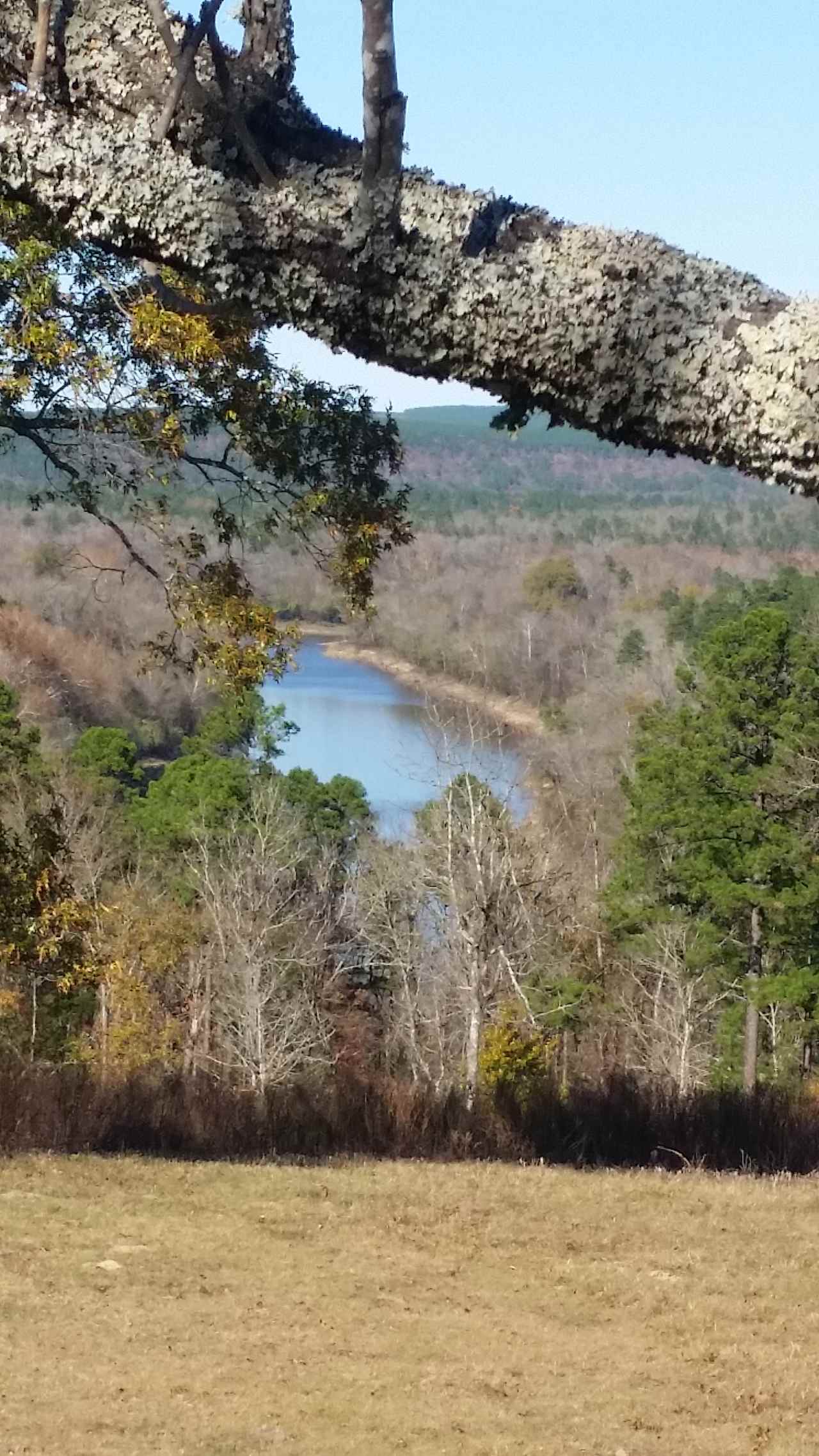 this is a view of the river from the top meadow 