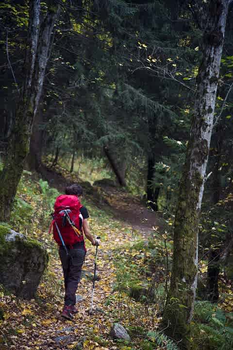 Camping Off The Grid -Barbour Farms