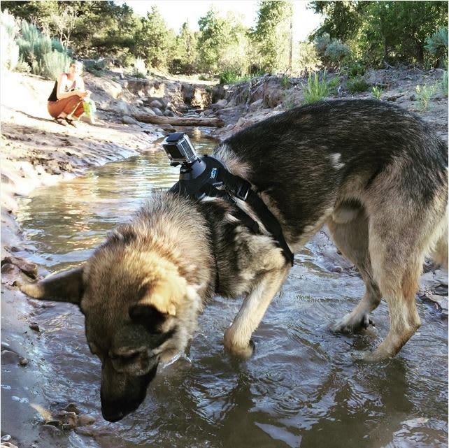 Cool off in picturesque Miller Creek that courses right through the middle of the property. 