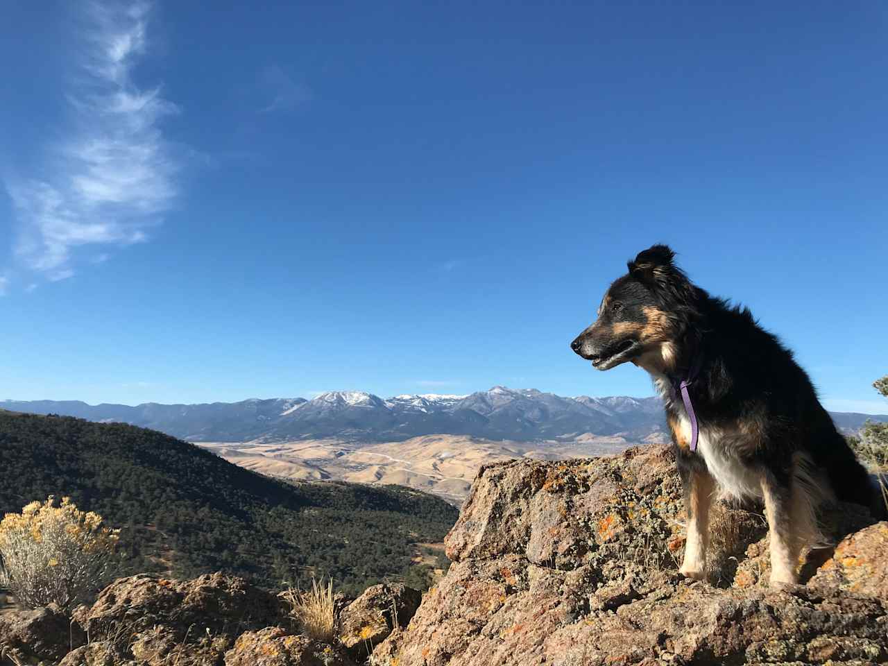 Sunshine, Serenity and Sierras