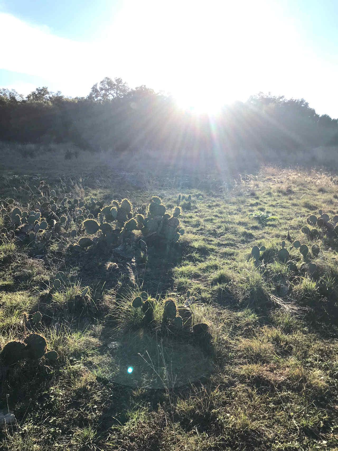 Cedar Sage Campground