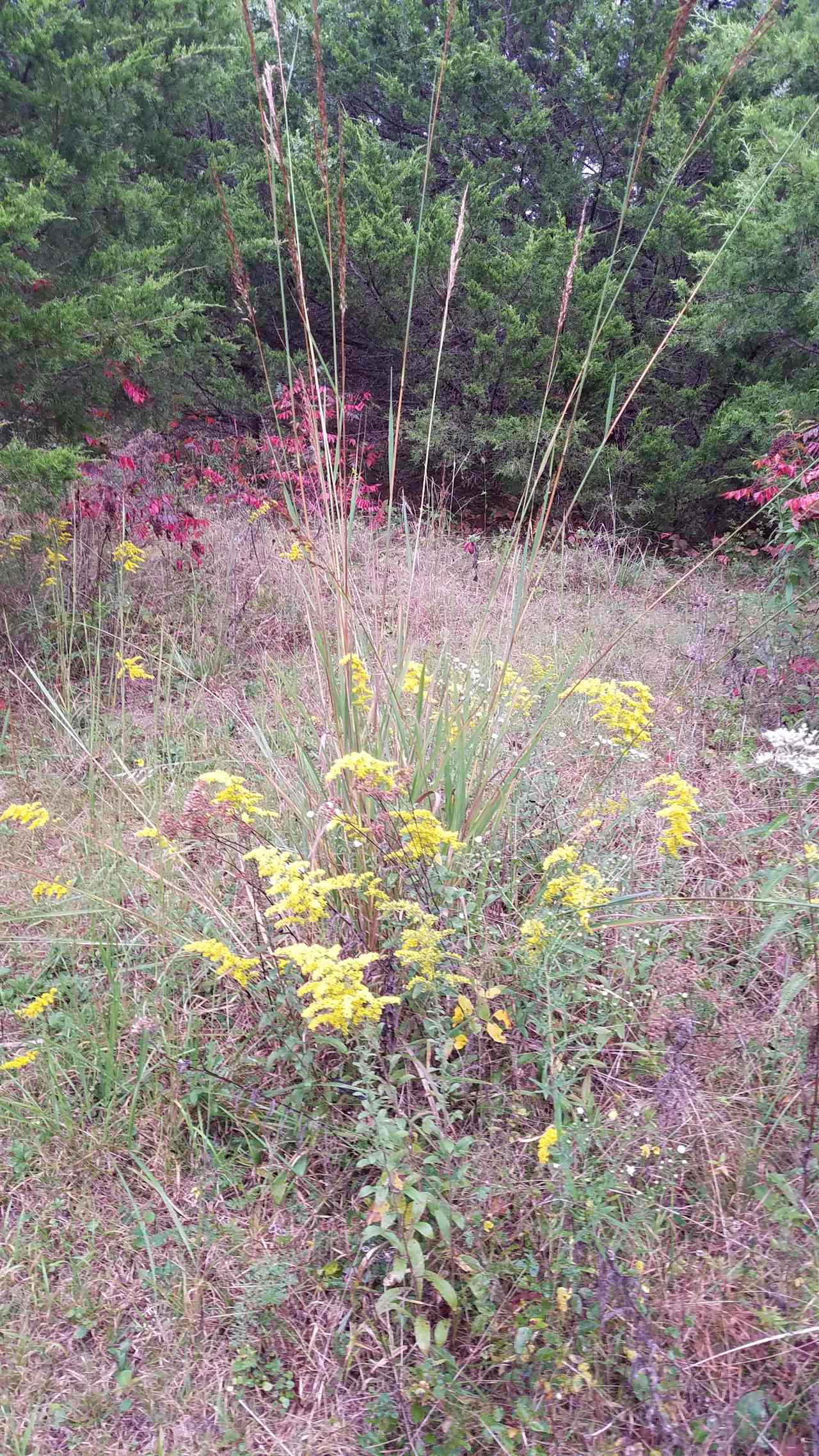 Ozark Hills Honey Farm