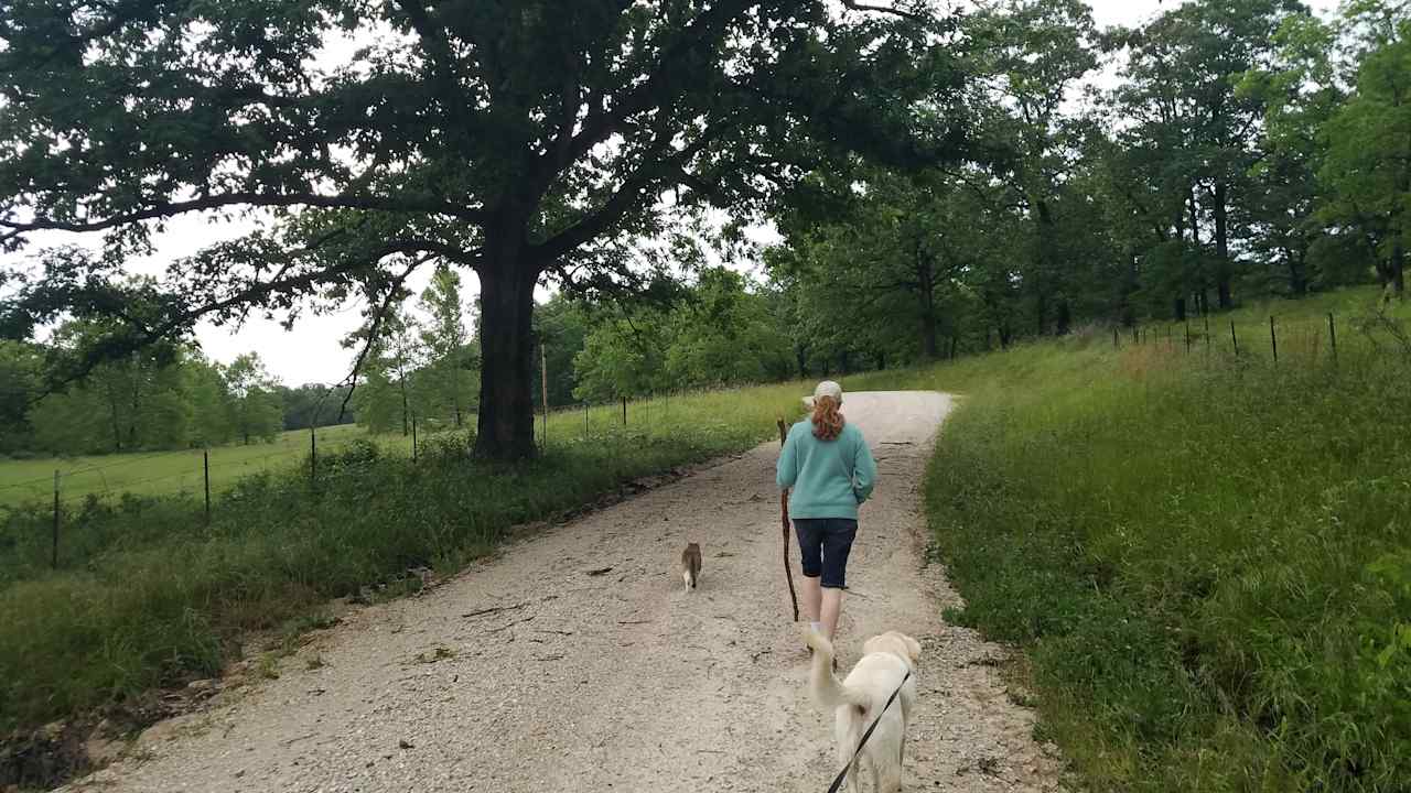 The roads on two sides of our property are very quiet, we often walk them encountering no or few vehicles 