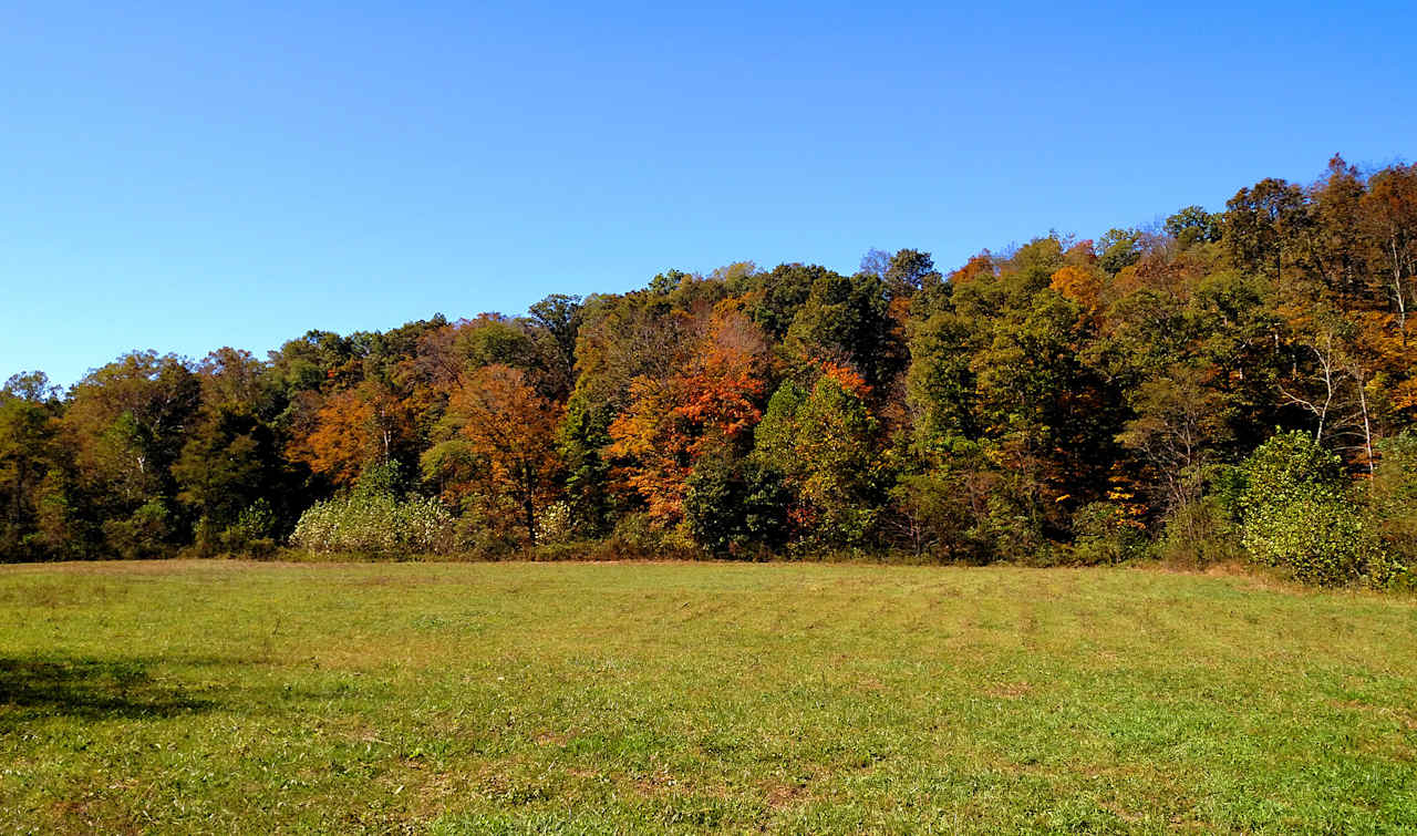 Fall colors