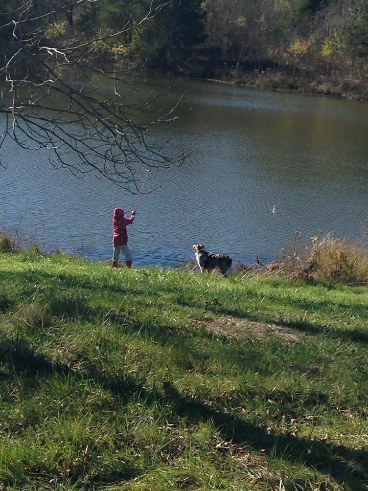 Doc the protector hoping she catches him a snack