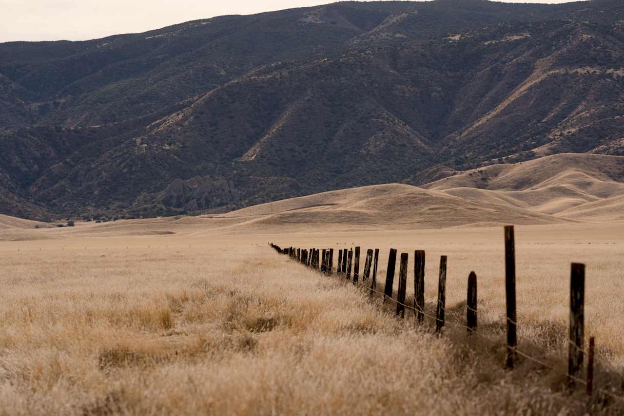 Camp Tule Elk